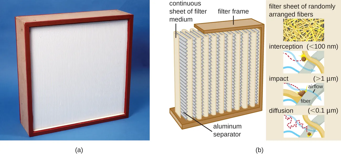 a) A large square with a white center. B) a diagram of the filter showing that the white center is made of a continuous sheet of filter medium separated by aluminum separators. A diagram showing the filter sheet of randomly arranged fibers. Interception (<100 nm) wi shen the particle hits a fiber. Impact (>1um) is when the particle becomes wedged between fibers. Diffusion (<0.01) is when the particle moves between the fibers.