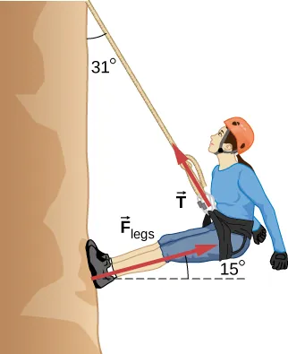 A mountain climber is drawn leaning away from the rock face with her feet against the rock face. The rope extends up from the climber  at an angle of 31 degrees to the vertical. The climbers legs are straight and make an angle of fifteen degrees with the rock face. The force vector F sub T starts at the harness and points away from the climber, along the rope. The force vector F sub legs starts at climber’s feet and points away from the rock, parallel to her legs.