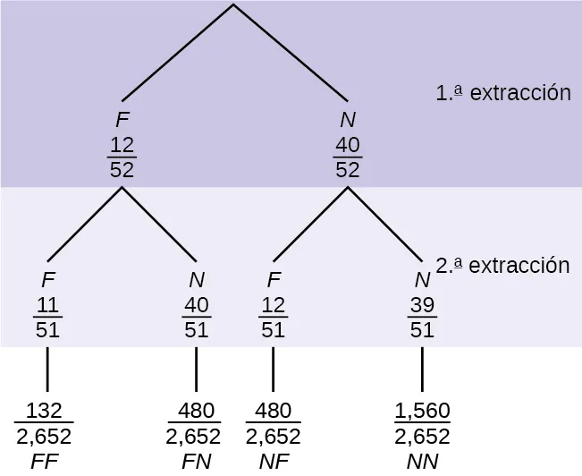 Se trata de un diagrama de árbol con ramas que muestran las frecuencias de cada vez que saca una. La primera rama muestra 2 líneas: F 12/52 y N 40/52. La segunda rama tiene un conjunto de 2 líneas (F 11/52 y N 40/51) para cada línea de la primera rama. Multiplique a lo largo de cada línea para hallar FF 121/2.652, FN 480/2.652, NF 480/2.652 y NN 1.560/2.652.