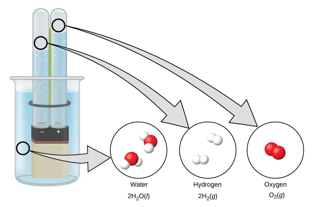 A diagram shows a beaker that contains a liquid, a battery submerged in the liquid, and two test tubes. The battery has the positive and negative terminals labeled. The liquid is connected by a right-facing arrow to an image of two molecules made up of one red atom and two white atoms. It is labeled, “Water,” and, “2 H subscript 2 O ( l ).” The left test tube above the negative sign is connected by a right-facing arrow to an image of two pairs of white atoms. The image is labeled, “Hydrogen,” and, “2 H subscript 2 ( g ).” The right test tube above the positive sign is connected by a right-facing arrow to an image of a pair of red atoms. The image is labeled, “Oxygen,” and, “O subscript 2 ( g ).”