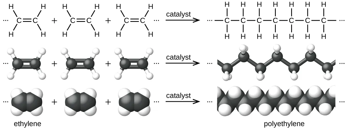 This diagram has three rows, showing ethylene reacting to form polyethylene. In the first row, Lewis structural formulas show three molecules of ethylene being added together, which are each composed of two doubly bonded C atoms, each with two bonded H atoms. Ellipses, or three dots, are present before and after the molecule structures, which in turn are followed by an arrow pointing right. On the right side of the arrow, the ellipses or dots again appear to the left of a dash that connects to a chain of 7 C atoms, each with H atoms connected above and below. A dash appears at the end of the chain, which in turn is followed by ellipses or dots. The reaction diagram is repeated in the second row using ball-and-stick models for the structures. In these representations, single bonds are represented with sticks, double bonds are represented with two parallel sticks, and elements are represented with balls. Carbon atoms are black and hydrogen atoms are white in this image. In the third row, space-filling models are shown. In these models, atoms are enlarged spheres which are pushed together, without sticks to represent bonds.