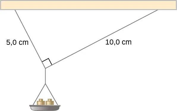 La figura muestra una pequeña bandeja de masa, sostenida por dos cuerdas que se cruzan en un ángulo de 90 grados. La longitud de una cuerda es de 5 centímetros, la de otra es de 10 centímetros.