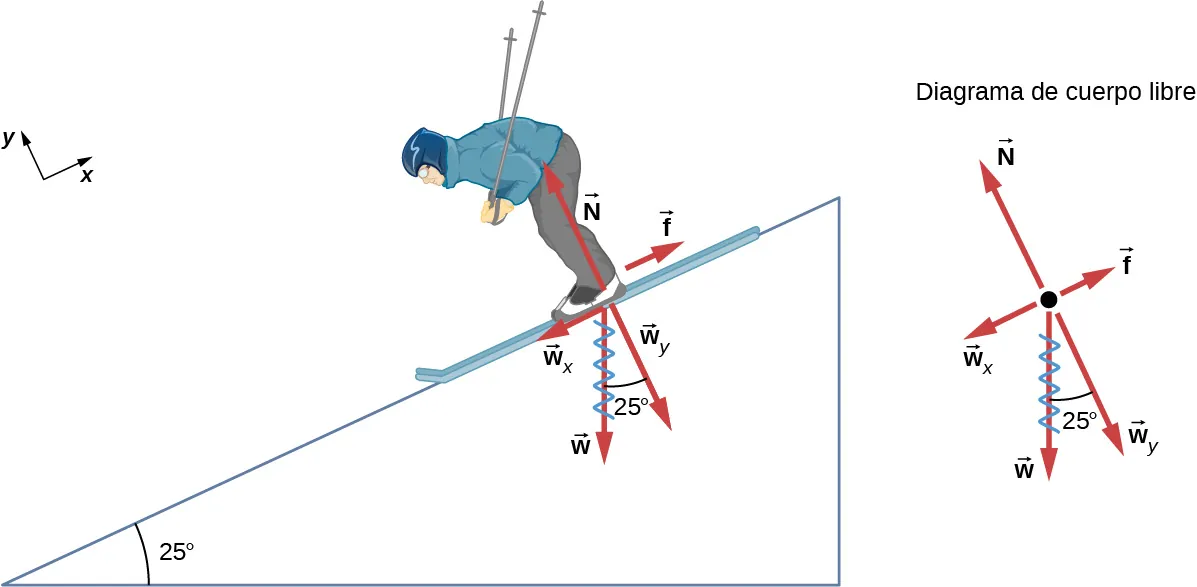La figura muestra a un esquiador bajando por una pendiente que forma un ángulo de 25 grados con la horizontal. Se muestra un sistema de coordenadas x y, inclinado de manera que la dirección de la x positiva es paralela a la pendiente, y apunta hacia arriba, y la dirección de la y positiva está fuera de la pendiente, perpendicular a ella. El peso del esquiador, marcado w, se representa con una flecha roja que apunta verticalmente hacia abajo. Este peso se divide en dos componentes, w sub y es perpendicular a la pendiente y apunta en la dirección menos y, y w sub x es paralelo a la pendiente, apunta en la dirección menos x. La fuerza normal, marcada como N, es también perpendicular a la pendiente, de igual magnitud pero apunta hacia afuera, de dirección opuesta a w sub y. La fricción, f, está representada por una flecha roja que apunta hacia arriba. Además, la figura muestra un diagrama de cuerpo libre que indica las magnitudes y direcciones relativas de f, N, w, y los componentes w sub x y w sub y de w. En ambos diagramas, el vector w está tachado, ya que se sustituye por sus componentes.