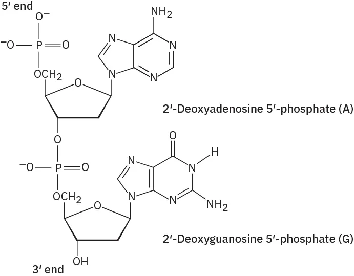 Answer Key Chapter 28 - Organic Chemistry | OpenStax