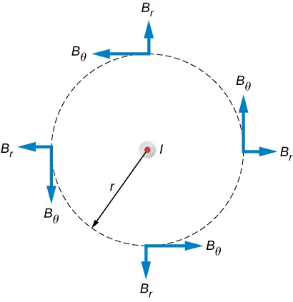 La figura muestra un cable lineal infinito y delgado, con la corriente dirigida hacia fuera de la página. Las posibles componentes del campo magnético en este plano, BR y BTheta, se muestran en puntos arbitrarios de un círculo de radio r centrado en el cable.