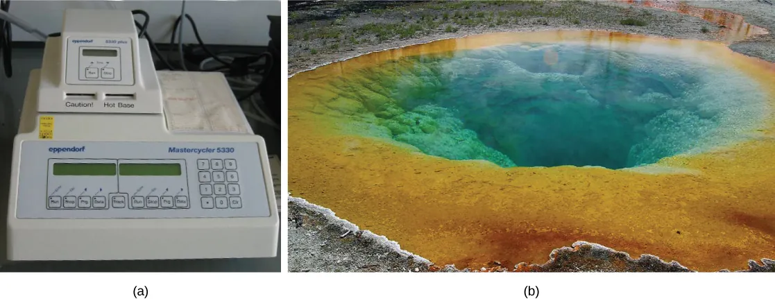 In part A, a PCR machine sits on a desk. It has a digital screen on the front and buttons, and “caution, hot base” is written on the front. Part B shows a hot spring in Yellowstone.