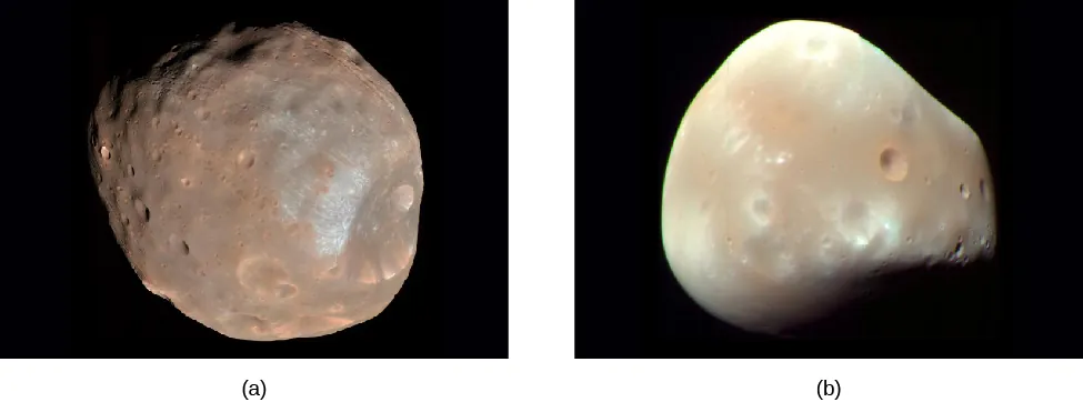 Images of Phobos and Deimos. Panel (a), at left, shows Phobos, a brownish, “lumpy” body with many impact craters. Panel (b), at right, shows the lighter colored Deimos. Deimos is much less spherical than Phobos, and has fewer craters.