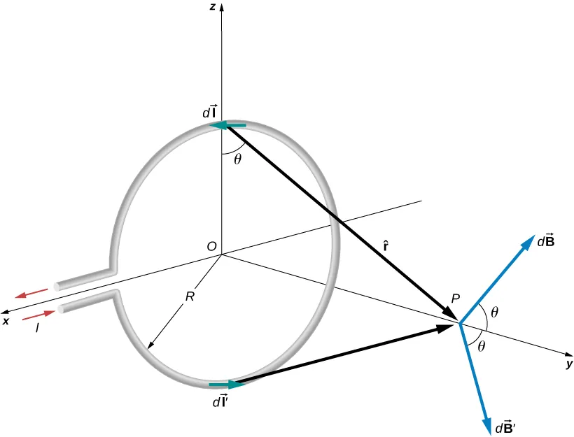 La figura muestra un bucle circular de radio R que porta una corriente I y se encuentra en el plano xz. El punto P se encuentra por encima del centro del bucle. Theta es el ángulo formado por un vector del bucle al punto P y el plano del bucle. Equivale al ángulo formado por el vector dB del punto P y el eje y.
