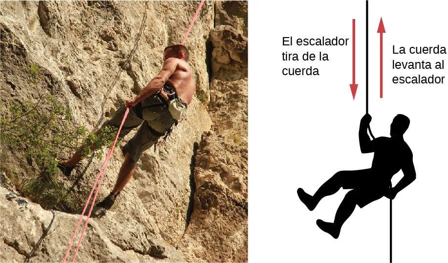 A la izquierda se muestra la fotografía de un escalador. A la derecha se muestra la figura de un escalador. La flecha que apunta hacia abajo está marcada como el escalador que hala la cuerda hacia abajo. La flecha que apunta hacia arriba está marcada como la cuerda que hala hacia arriba al escalador.