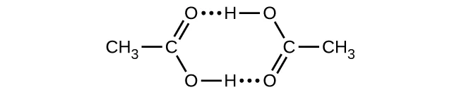 This Lewis structure shows a six-sided ring structure composed of a methyl group single bonded to a carbon, which is double bonded to an oxygen atom in an upward position and single bonded to an oxygen atom in a downward position. The lower oxygen is single bonded to a hydrogen, which is connected by a dotted line to an oxygen that is double bonded to a carbon in an upward position. This carbon is single bonded to a methyl group to its right and to an oxygen in the upward position that is single bonded to a hydrogen that is connected by a dotted line to the double bonded oxygen on the left.