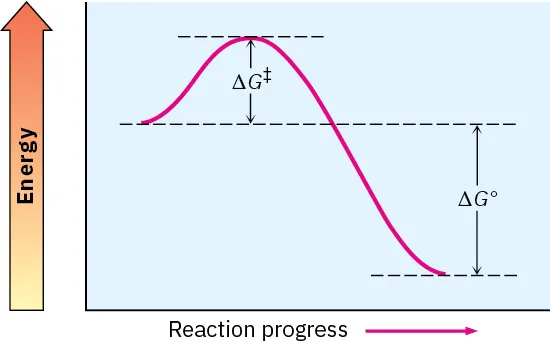 6.10 Describing a Reaction: Intermediates - Organic Chemistry | OpenStax