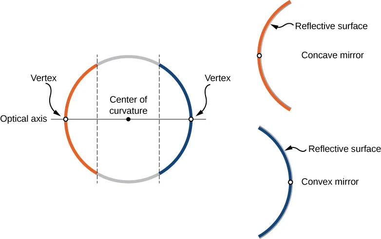 Figure a shows a circle, divided by two parallel lines, forming two arcs, orange and blue. A line labeled optical axis runs through the center of the circle, intersecting it at the mid-points of both arcs. Each mid-point is labeled vertex. Figure b shows the orange arc, labeled concave mirror, with the reflective surface shown on the inside. Figure c shows the blue arc, labeled convex mirror, with the reflective surface shown on the outside.
