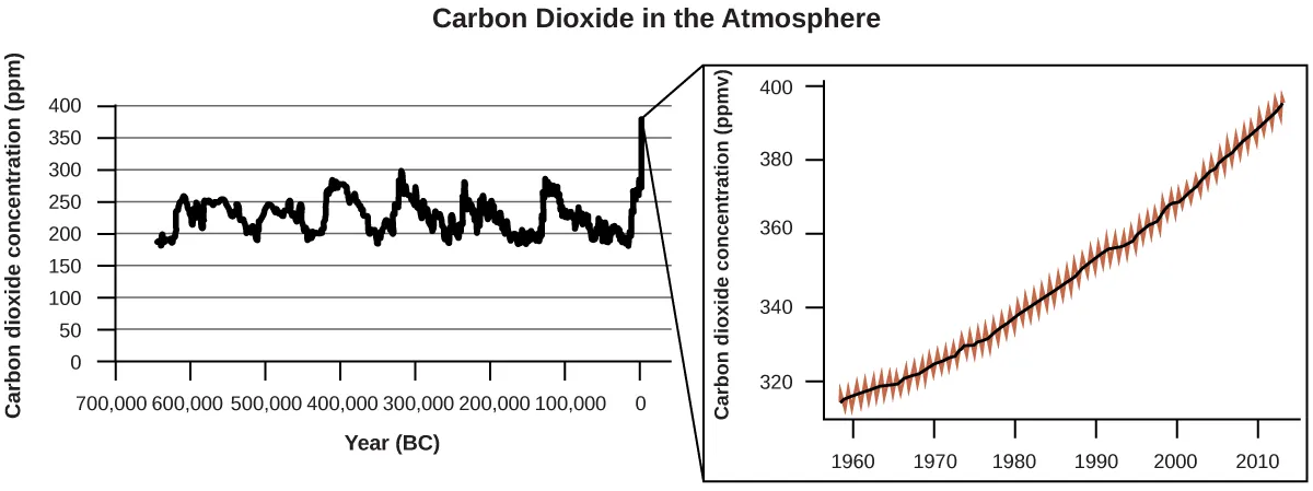 This figure has the heading “Carbon Dioxide in the Atmosphere.” The first graph has a horizontal axis label “Year ( B C )” and a vertical axis label “Carbon dioxide concentration ( p p m ).” The horizontal axis labels begin at 700,000 on the left and increases by multiples of 100,000 up to 0 on the right. The vertical axis begins at 0 and increases by multiples of 50 extending up to 400. A jagged, cyclical pattern is shown that begins before 600,000 B C at under 200 p p m. Up to 0 B C values appear to vary cyclically up to a high of about 300 p p m. Extending beyond 0 B C to the right, the carbon dioxide concentration appears to be on a steady increase, having reached nearly 400 p p m in recent years. The second graph is shown to magnify the portion of the graph that is most recent. This graph begins just before the year 1960 and includes markings for multiples of 10 up to the year 2010. The vertical axis begins just below 320 p p m and includes markings for all multiples of 20 up to 400 p p m. A smooth black line is shown extending through a jagged red data pattern. The trend is a steady, nearly linear increase from the lower left to the upper right on the graph.