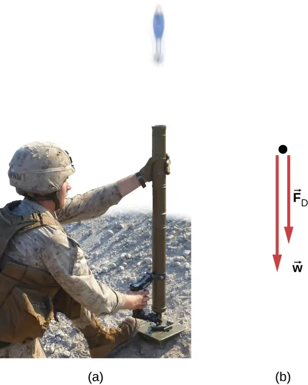 (a) A photograph of a soldier firing a mortar shell straight up. (b) A free body diagram of the mortar shell shows forces F sub D and w, both pointing vertically down. Force w is larger than force F sub D.