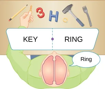 Illustration is overhead view showing a person with completely separated brain hemispheres. There is a ring to the right of the man and a key to the left. The man is thinking of picking up the ring but his had instead picks up the key. 