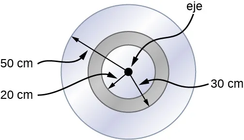 La figura muestra un disco de radio de 50 cm sobre el que está montado un cilindro anular de radio interior de 20 cm y exterior de 30 cm