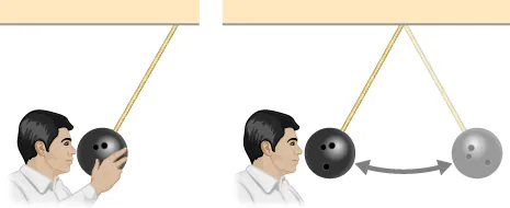 The figure is a drawing of a man pulling a bowling ball that is suspended from the ceiling by a rope away from its equilibrium position and holding it adjacent to his nose. In a second picture, the ball swings directly away from him.