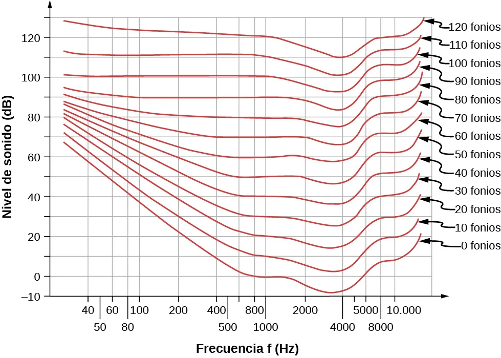 El gráfico es el trazado del nivel del sonido en decibeles versus la frecuencia en Hertz. Se representan los datos de 0, 10, 20, 30, 40, 50, 60, 70, 80, 90, 100, 110 y 120 fonios. Los datos se representan como líneas curvas apiladas una encima de otra.