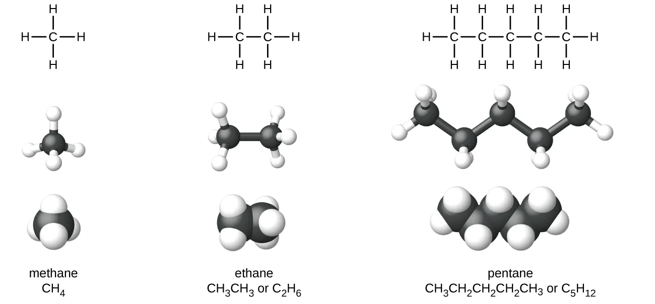 The figure illustrates four ways to represent molecules for molecules of methane, ethane, and pentane. In the first row of the figure, Lewis structural formulas show element symbols and bonds between atoms. Methane has a central C atom with four H atoms bonded to it. Ethane has a C atom with three H atoms bonded to it. The C atom is also bonded to another C atom with three H atoms bonded to it. Pentane has a C atom with three H atoms bonded to it. The C atom is bonded to another C atom with two H atoms bonded to it. The C atom is bonded to another C atom with two H atoms bonded to it. The C atom is bonded to another C atom with two H atoms bonded to it. The C atom is bonded to another C atom with three H atoms bonded to it. In the second row, ball-and-stick models are shown. In these representations, bonds are represented with sticks, and elements are represented with balls. Carbon atoms are black and hydrogen atoms are white in this image. In the third row, space-filling models are shown. In these models, atoms are enlarged and pushed together, without sticks to represent bonds. The molecule names and structural formulas are provided in the fourth row. Methane is named and represented with a condensed structural formula as C H subscript 4. Ethane is named and represented with two structural formulas C H subscript 3 C H subscript 3 and C subscript 2 H subscript 6. Pentane is named and represented as both C H subscript 3 C H subscript 2 C H subscript 2 C H subscript 2 C H subscript 3 and C subscript 5 H subscript 12.