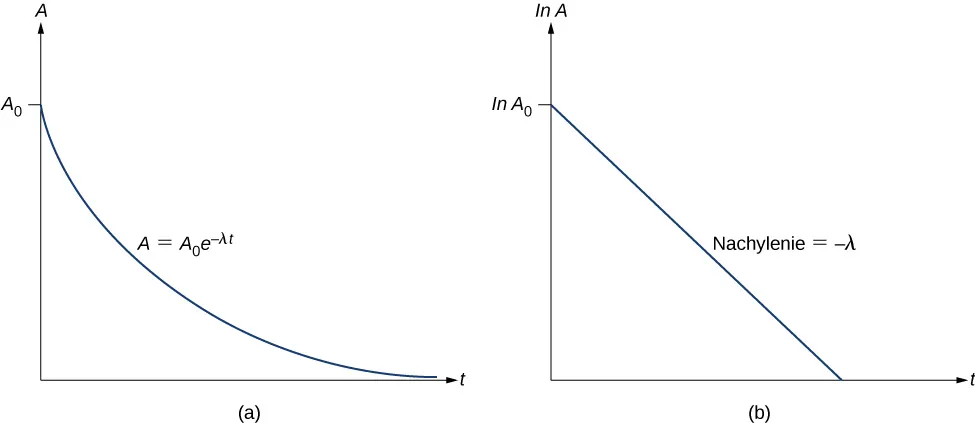 Rysunek a pokazuje wykres wykładniczej zależności A od t. Rozpoczyna się w punkcie A z indeksem 0 i maleje z upływem czasu. Szybkość spadku stopniowo maleje, podczas gdy A staje się bardzo bliskie 0, tworząc zakrzywiony wykres. Wykres jest opisany jako A = A z indeksem 0 razy e do potęgi minus lambda t. Rysunek b przedstawia wykres ln A od t. Rozpoczyna się od wartości ln A z indeksem 0 i maleje liniowo, tzn. przyjmując postać linii prostej. Nachylenie linii oznaczono jako minus lambda t.