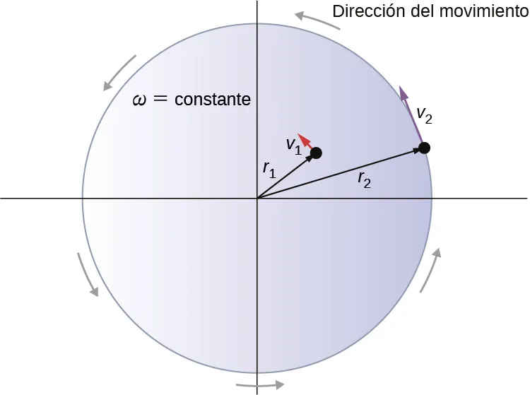 La figura muestra dos partículas en un disco en rotación. La partícula 1 se encuentra a la distancia r1 del eje de rotación y se mueve con rapidez v1. La partícula 2 se encuentra a la distancia r2 del eje de rotación y se mueve con rapidez v2.