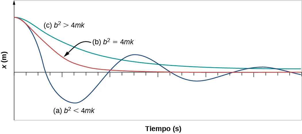 La posición x en metros en el eje vertical versus el tiempo en segundos en el eje horizontal con diferentes grados de amortiguación. No se da ninguna escala para ninguno de los dos ejes. Las tres curvas comienzan en la misma posición positiva en el tiempo cero. La curva azul a, identificada con b al cuadrado, es inferior a 4 m k, experimenta algo más de dos oscilaciones y cuarto de amplitud decreciente y periodo constante. La curva roja b, identificada con b al cuadrado es igual a 4 m k, disminuye en t = 0 menos rápidamente que la curva azul, pero no oscila. La curva roja se aproxima asintóticamente a x = 0, y es casi cero dentro de una oscilación de la curva azul. La curva verde c, identificada con b al cuadrado es mayor que 4 m k, disminuye en t = 0 menos rápidamente que la curva roja y no oscila. La curva verde se aproxima asintóticamente a x = 0, pero sigue estando notablemente por encima de cero al final del gráfico, después de más de dos oscilaciones de la curva azul.