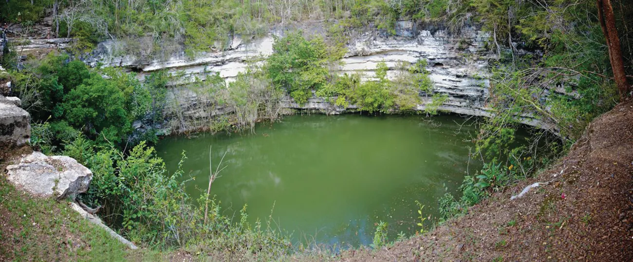 Se muestra una fotografía de un estanque formado en un sumidero. Capas de piedra caliza con árboles y arbustos rodean el agua verde y turbia del estanque.