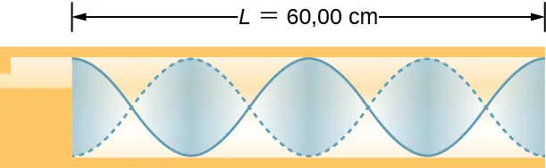 La imagen es un diagrama de la onda en un tubo de 60 centímetros de largo. Hay dos longitudes de onda en un tubo. Los desplazamientos de aire máximos se producen en los extremos del tubo.