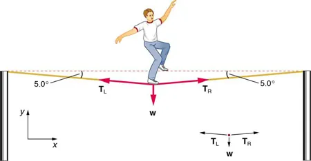 A tightrope walker is walking on a wire. His weight W is acting downward, shown by a vector arrow. The wire sags and makes a five-degree angle with the horizontal at both ends. T sub R, shown by a vector arrow, is toward the right along the wire. T sub L is shown by an arrow toward the left along the wire. All three vectors W, T sub L, and T sub R start from the foot of the person on the wire. In a free-body diagram, W is acting downward, T sub R is acting toward the right with a small inclination, and T sub L is acting toward the left with a small inclination.