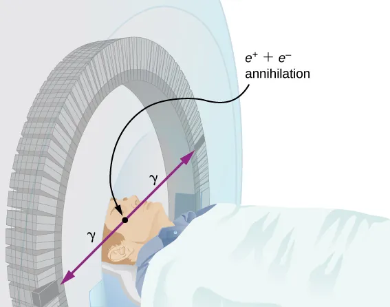 The figure of a person lying with his head within a circular chamber. Two rays labeled gamma radiate outwards from his head. Their point of origin is labeled e positive plus e negative annihilation.
