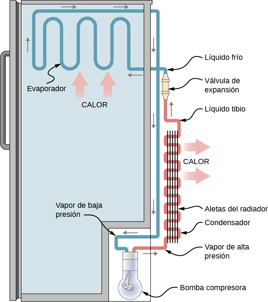 La figura muestra el diagrama esquemático y el funcionamiento de un refrigerador.