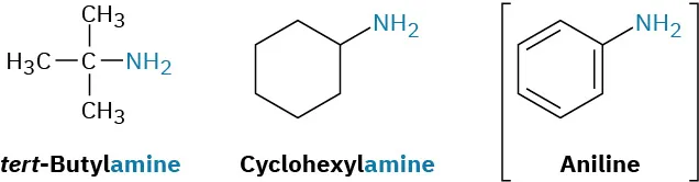The structures of tertiary-butyl amine, cyclohexylamine, and aniline. Aniline is enclosed in square parentheses.