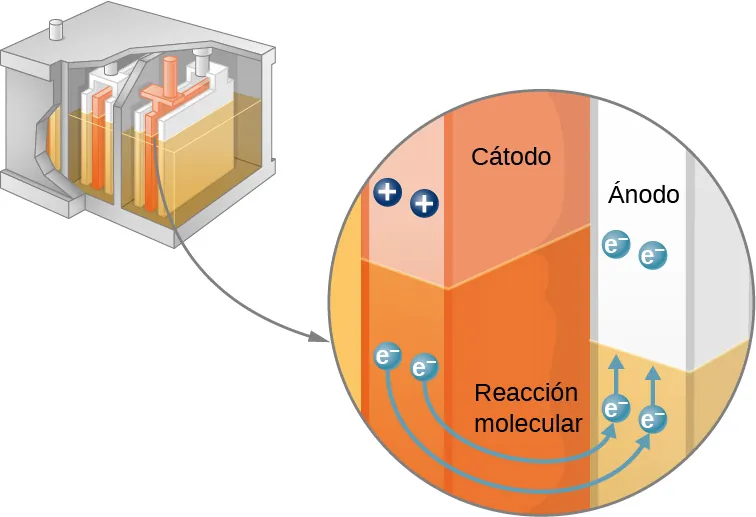 La figura muestra el cátodo y el ánodo de una célula y el flujo de electrones del cátodo al ánodo.