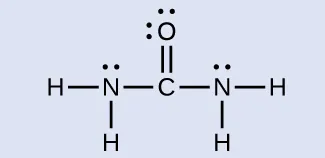 Se muestra una estructura de Lewis en la que un átomo de carbono tiene un doble enlace con un átomo de oxígeno que tiene dos pares solitarios de electrones. El átomo de carbono forma enlaces simples con dos átomos de nitrógeno. Cada nitrógeno está unido con enlace simple a dos átomos de hidrógeno, y cada átomo de nitrógeno tiene un par solitario de electrones.