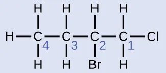 Esta estructura muestra un átomo de C enlazado a los átomos de H y a otro átomo de C. Este segundo átomo de C está enlazado a dos átomos de H y a otro átomo de C. Este tercer átomo de C está enlazado a un átomo de H, a un átomo de B r y a otro átomo de C. Este cuarto átomo de C está enlazado a dos átomos de H y a un átomo de C l. Los átomos de C están numerados 4, 3, 2 y 1 de izquierda a derecha.