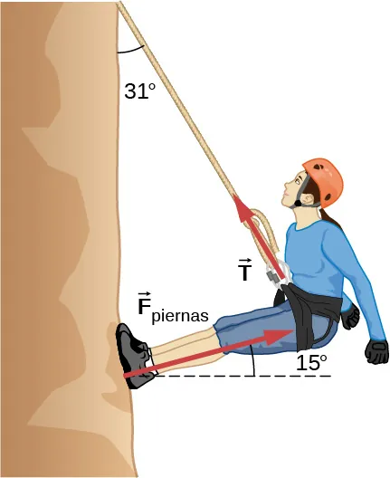 Una escaladora se dibuja inclinada hacia la pared de roca con los pies apoyados en la misma. La cuerda se extiende desde la escaladora en un ángulo de 31 grados con respecto a la vertical. Las piernas de la escaladora están rectas y forman un ángulo de quince grados con la pared de roca. El vector de fuerza F sub T comienza en el arnés y apunta lejos de la escaladora, a lo largo de la cuerda. El vector de fuerza F sub piernas comienza en los pies de la escaladora y apunta lejos de la roca, paralelo a sus piernas.