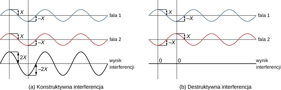 Lewy rysunek przedstawia interferencję konstruktywną. Dwie identyczne fale o zgodnych fazach tworzą falę o podwojonej amplitudzie. Prawy rysunek przedstawia interferencję destruktywną. Dwie identyczne fale o przeciwnych fazach - przesunięte o połowę długości fali - tworzą falę o zerowej amplitudzie.