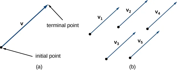 This figure has two images. The first is labeled “a” and has a line segment representing vector v. The line segment begins at the initial point and goes to the terminal point. There is an arrowhead at the terminal point. The second image is labeled “b” and is five vectors, each labeled v sub 1, v sub 2, v sub 3, v sub 4, v sub 5. They all are pointing in the same direction and have the same length.