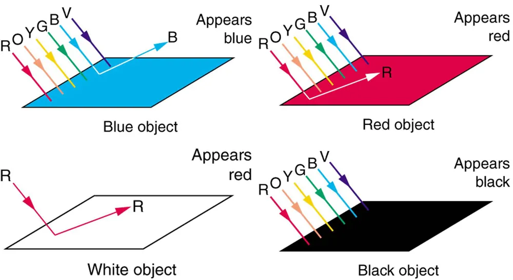 Four flat rectangular structures, named as Blue object, Red object, Black object, and White object are shown. The red, blue, and black objects are illuminated by white light shown by six rays of red, orange, yellow, green, blue, and violet. The blue rectangle is emitting blue ray and it appears blue. The red rectangle is emitting red ray and it appears red while the black rectangle has absorbed all colors and appears black. The white rectangle is illuminated only by red light and emits red ray but appears white.