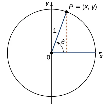 Imagen de un gráfico. El gráfico tiene un círculo trazado en él, con el centro del círculo en el origen, donde hay un punto. Desde este punto, hay un segmento de línea que se extiende horizontalmente a lo largo del eje x hacia la derecha hasta un punto en el borde del círculo. Hay otro segmento de línea que se extiende en diagonal hacia arriba y hacia la derecha hasta otro punto en el borde del círculo. Este punto está marcado como "P = (x, y)". Estos segmentos de línea tienen una longitud de 1 unidad. Desde el punto "P", hay una línea vertical punteada que se extiende hacia abajo hasta chocar con el eje x y, por tanto, con el segmento de línea horizontal. Dentro del círculo, hay una flecha que apunta desde el segmento de línea horizontal al segmento de línea diagonal. Esta flecha está marcada como "theta".