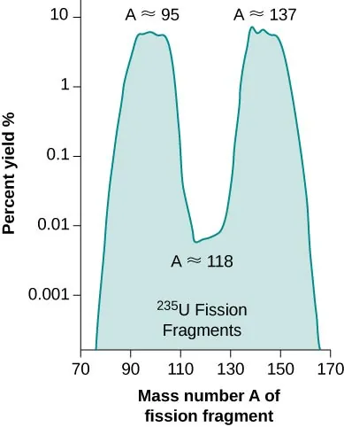 A graph of percentage yield versus mass number A of fission fragment. The graph has two peaks at values A approximately equal to 95 and at A approximately equal to 137. There is a dip in the graph at A approximately equal to 118. The enclosed area under the graph is labeled 235 U Fission Fragments.