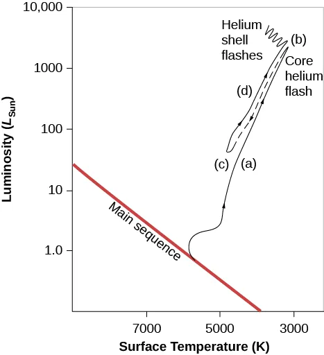 Evolution of a Star like the Sun on an H–R Diagram. In this plot the vertical axis is labeled “Luminosity (LSun),” and goes from 1.0 near the bottom to 10,000 near the top. The horizontal axis is labeled “Surface Temperature (K),” and goes from 9000 on the left to 3000 on the right. The main sequence is drawn as a diagonal red line beginning at L ~ 40 on the left down to T ~ 4000 at the bottom. The evolutionary path of the star is drawn as a black line. Beginning at L = 1 and T = 5500, the line moves upward away from the main sequence. This portion of the line is labeled “(a),” and is described in the caption. The line continues upward to L ~ 1000 and T ~ 3000 to point “(b),” labeled “Core helium flash.” From point b, the line (now dashed) moves downward to L ~ 100 and T ~ 5000 and labeled “(c),” and is described in the caption. From c, the line moves upward again. This portion of the line is labeled “(d),” and is described in the caption. The line culminates in a series of waves near L = 5000 and T ~ 3500 and is labeled “Helium shell flashes.”