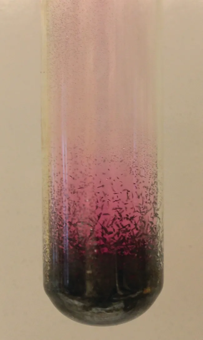 Esta figura muestra un tubo de ensayo. En el fondo hay una sustancia oscura que se descompone en un gas púrpura en la parte superior.