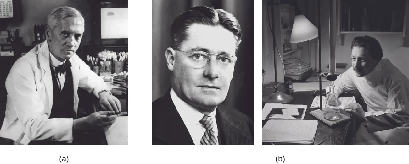 a) Photo of Alexander Fleming. B) Photo of Howard Florey and Ernst Chain.