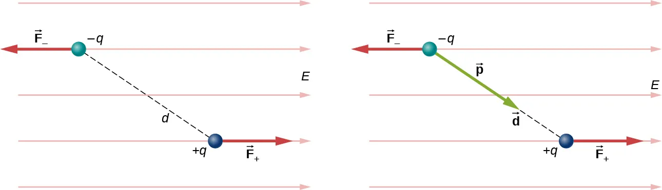 En la figura a se muestra un dipolo en un campo eléctrico uniforme junto con las fuerzas sobre las cargas que lo componen. El dipolo está compuesto por una carga, menos q, y una carga positiva, más q, separadas por una distancia d. La línea que une las cargas forma un ángulo con la horizontal, de modo que la carga negativa está por encima y a la izquierda de la carga positiva. El campo eléctrico E es horizontal y apunta a la derecha. La fuerza sobre la carga negativa está a la izquierda, y se etiqueta como F menos. La fuerza sobre la carga positiva está a la derecha, y se etiqueta como F más. La figura b muestra el mismo diagrama con la adición del vector del momento dipolar, p, que apunta a lo largo de la línea que conecta las cargas, desde la carga negativa a la positiva.