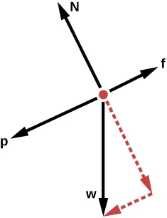 The diagram consists of a red dot with four solid black arrows pointing away from the dot. Arrow f is pointing to the right and slightly up. Arrow p is about half the size of arrow f and is pointing in the opposite direction, to the left and slightly down. An arrow N, about the same size as f, is pointing up and slightly to the left. Another similar sized arrow w is pointing straight down. A dotted red arrow extends from the red dot in the opposite direction of arrow N (down and to the right) and is the same size. Another short dotted red arrow extends from the tip of the first dotted red arrow to the tip of the w arrow and forms a right angle.