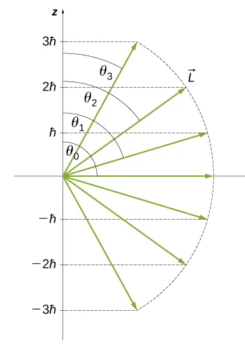Pokazano siedem wektorów, wszystkie o długości L, tworzące 7 różnych kątów z osią z. Składowe z-owe wektorów są pokazane jako linie wychodzące z wierzchołka wektora i ich oznaczenia są na osi z. Dla czterech wektorów kąt pomiędzy osią z i wektorem również został oznaczony. Składowe z-owe mają wartość 3 h kreślone dla kąta teta sub 3, 2 h kreślone dla kąta teta sub 2, h kreślone dla kata teta sub 1, zero dla kąta teta sub zero, minus h kreślone, minus 2 h kreślone i minus 3 h kreślone.
