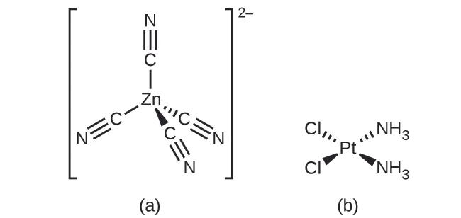 Se muestran dos estructuras. En a, entre corchetes, un átomo central de Z n está enlazado a 4 átomos de C en una disposición espacial tetraédrica. Se utilizan segmentos de línea para representar un enlace que se extiende por encima y por debajo y a la izquierda del átomo de Z n. Una cuña discontinua con el vértice en el átomo de Z n y el extremo ancho en el átomo de C se utiliza para representar un enlace hacia abajo y a la derecha del átomo de Z n. El enlace final se indica con una cuña sólida similar dirigida de nuevo hacia abajo y un poco a la derecha del centro debajo del átomo de Z n. Se muestran cuatro grupos de tres segmentos de línea en paralelo, que indican los triples enlaces que se extienden desde cada átomo de C opuesto al enlace con Z n hasta un átomo de N asociado. Fuera de los corchetes se muestra un superíndice 2 con signo menos. En b, en el centro de esta estructura hay un átomo de P t. A partir de este átomo, un enlace simple, representado por una cuña discontinua, se extiende desde un vértice en el átomo P t hacia arriba y hacia la derecha hasta el átomo N de un grupo N H subíndice 3. Del mismo modo, un enlace simple, representado por una cuña sólida, se extiende desde un vértice en el átomo de P t hacia abajo y hacia la derecha hasta el átomo de N de un grupo N H subíndice 3. Otro enlace simple, representado por una cuña discontinua, se extiende desde un vértice en el átomo de P t hacia arriba y a la izquierda hasta un átomo de C l. Del mismo modo, un enlace simple, representado por una cuña sólida, se extiende desde un vértice en el átomo de P t hacia abajo y hacia la izquierda hasta un átomo de C l.
