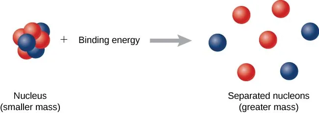 The figure shows a reaction. The LHS shows a nucleus plus binding energy. This nucleus is a cluster of closely packed protons and neutrons and is labeled, smaller mass. On the RHS is a nucleus with loosely packed protons and neutrons, labeled, separated nucleons, greater mass.