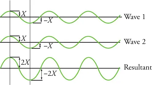 Wave 1 and wave 2 are perfectly in phase, and their resultant has twice the amplitude of each individual wave.